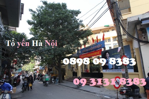 cua hang to yen ha noi chat luong cao tai pho tran nhat duat