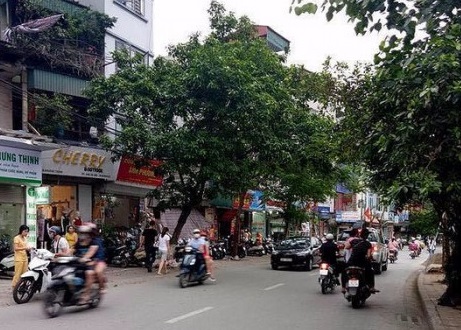 Cua hang to yen pho vinh phuc