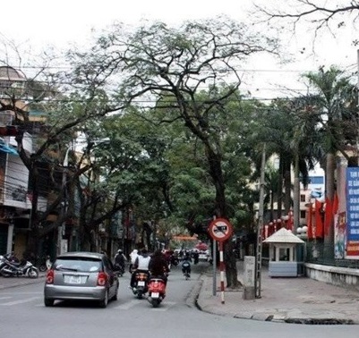 Cua hang to yen ha noi uy tin chat luong pho vo thi sau