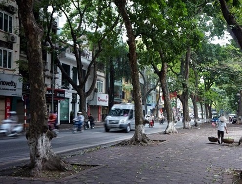 Mua to yen pho han thuyen nhan nhieu khuyen mai