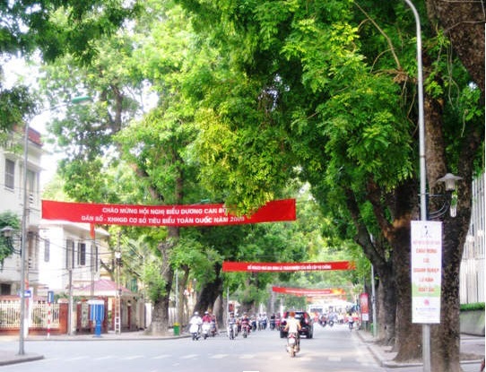 mua to yen gan duong le hong phong ha noi